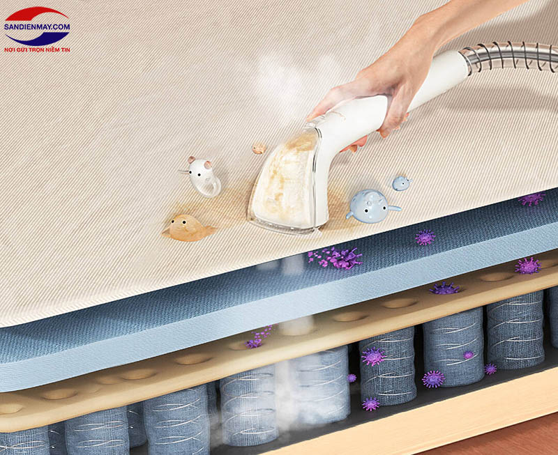 Máy giặt thảm giúp loại bỏ vi khuẩn gây hại